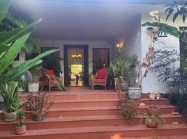 在墨西哥出租的 房产, Merida, Yucatan, 墨西哥