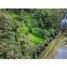 Terreno (Parcela) en venta en La Ceja, Antioquia, La Ceja
