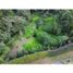  Terreno (Parcela) en venta en La Ceja, Antioquia, La Ceja