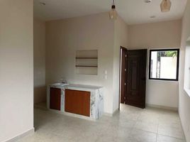 1 Schlafzimmer Appartement zu vermieten in Merida, Yucatan, Merida