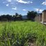  Land for sale in Fusagasuga, Cundinamarca, Fusagasuga