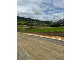  Land for sale in Envigado, Antioquia, Envigado