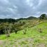  Land for sale in Rionegro, Antioquia, Rionegro