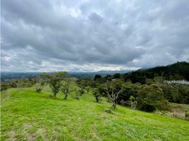  Land for sale in Rionegro, Antioquia, Rionegro