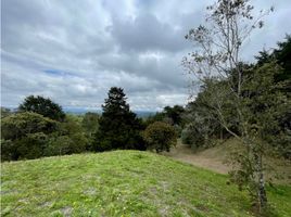  Land for sale in Rionegro, Antioquia, Rionegro