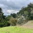  Land for sale in Rionegro, Antioquia, Rionegro