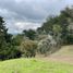  Land for sale in Rionegro, Antioquia, Rionegro