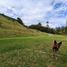  Land for sale in El Carmen De Viboral, Antioquia, El Carmen De Viboral