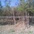 Land for sale in Juarez, Nuevo Leon, Juarez