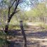  Land for sale in Cerralvo, Nuevo Leon, Cerralvo