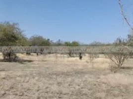  Land for sale in Cerralvo, Nuevo Leon, Cerralvo