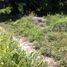  Land for sale in Paraiso, Tabasco, Paraiso