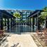 Estudio Apartamento en alquiler en Cozumel, Quintana Roo, Cozumel