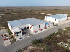  Land for sale in Merida, Yucatan, Merida, Yucatan