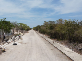 Terrain à vendre à Merida, Yucatan, Merida