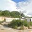  Land for rent in Carmen, Campeche, Carmen, Campeche