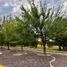  Terreno (Parcela) en venta en Durango, Durango, Durango, Durango