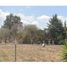  Land for sale in Tlaxcala, Tlaxcala, Tlaxcala