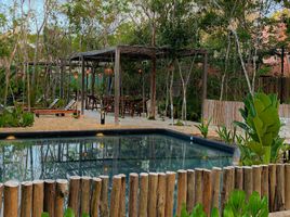 Appartement 2 chambre à vendre à Cozumel, Quintana Roo, Cozumel