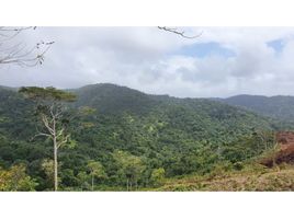  Terreno (Parcela) en venta en Chepo, Panamá, Chepo, Chepo
