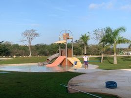  Grundstück zu verkaufen in Conkal, Yucatan, Conkal