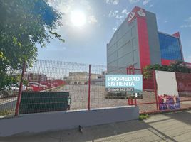  Terrain for rent in Mercado Hidalgo, Tijuana, Tijuana