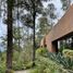 7 Schlafzimmer Villa zu verkaufen in Valle De Bravo, Mexico, Valle De Bravo, Mexico