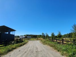  Terreno (Parcela) en venta en Chile, Frutillar, Llanquihue, Los Lagos, Chile