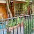 6 Habitación Casa en venta en Santiago, San Jode de Maipo, Cordillera, Santiago