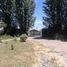 Terreno (Parcela) en venta en Chile, Quinta de Tilcoco, Cachapoal, Libertador General Bernardo O'Higgins, Chile