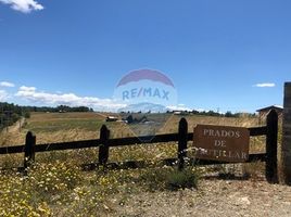  Terrain for sale in Llanquihue, Los Lagos, Llanquihue, Llanquihue