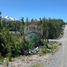  Land for sale in Los Lagos, Puerto Montt, Llanquihue, Los Lagos