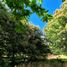  Land for sale in Los Rios, Mariquina, Valdivia, Los Rios