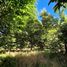  Land for sale in Los Rios, Mariquina, Valdivia, Los Rios