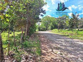  Land for sale in Cochea, David, Cochea