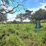 Studio Villa for sale in David, Chiriqui, Cochea