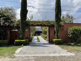 5 Bedroom House for sale in Puembo, Quito, Puembo