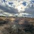  Land for sale in Silao, Guanajuato, Silao