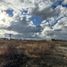  Land for sale in Silao, Guanajuato, Silao