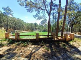  Terreno (Parcela) en venta en Tapalpa, Jalisco, Tapalpa