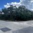  Land for sale in Conkal, Yucatan, Conkal