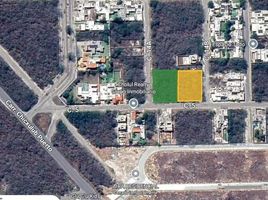  Land for sale in Conkal, Yucatan, Conkal