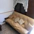 3 Bedroom Condo for sale in La Costa, Buenos Aires, La Costa