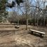 6 Bedroom House for sale in Biedma, Chubut, Biedma