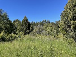  Land for sale in Futaleufu, Chubut, Futaleufu