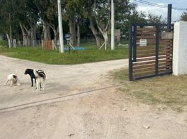  Land for sale in La Plata, Buenos Aires, La Plata