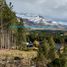  Land for sale in Lacar, Neuquen, Lacar