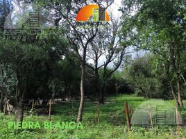  Land for sale in Junin, San Luis, Junin