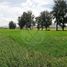  Land for sale in Soledad De Graciano Sanchez, San Luis Potosi, Soledad De Graciano Sanchez