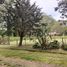  Land for sale in General Alvarado, Buenos Aires, General Alvarado